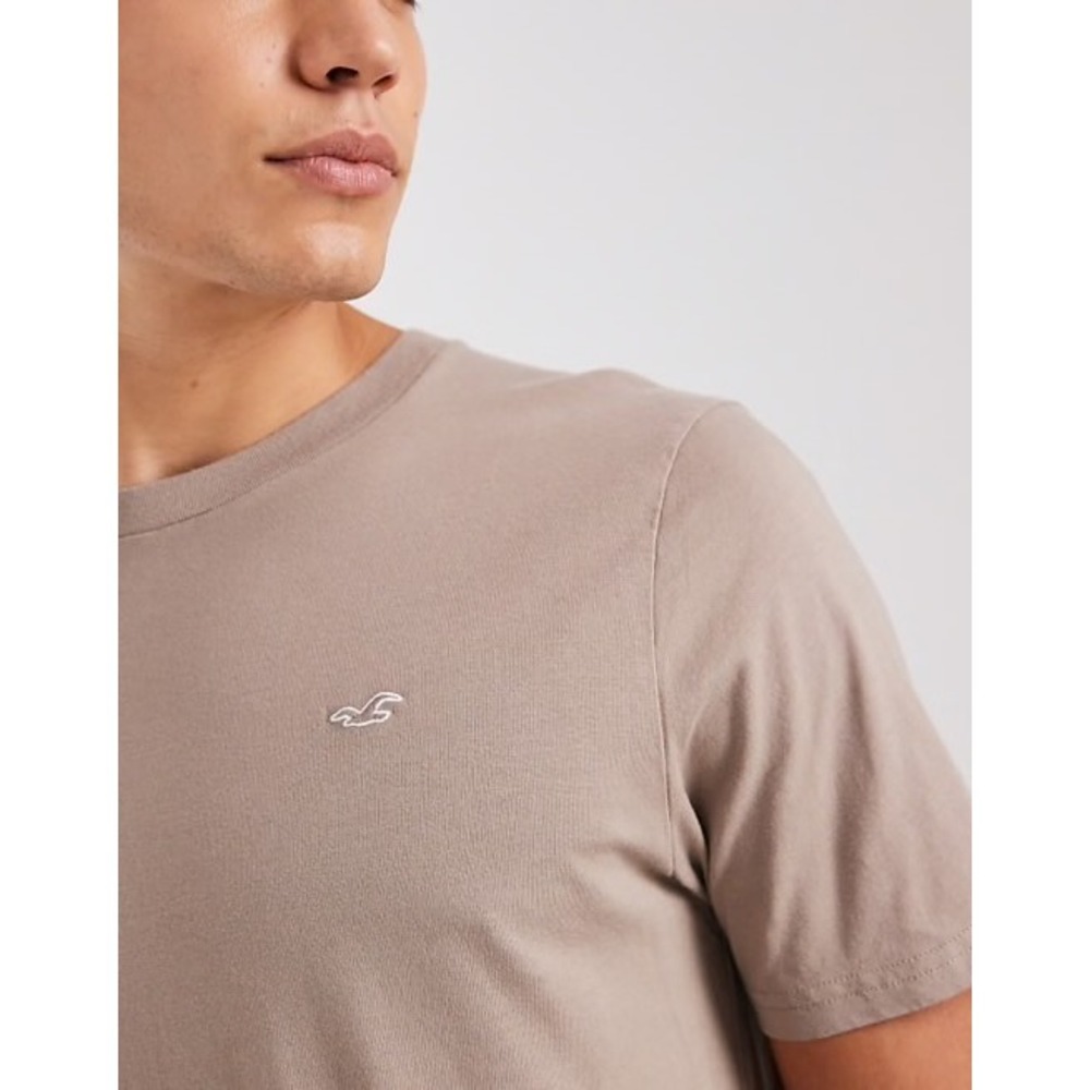 Hollister Mens Core Fit Short Sleeve T-Shirt Tan Khaki Cotton Seagull Logo Small